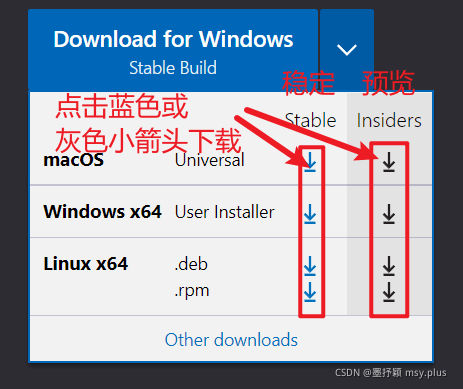 【vscode高级玩家】Visual Studio Code❤️安装教程(最新版教程小白也能看懂!) 配图 2